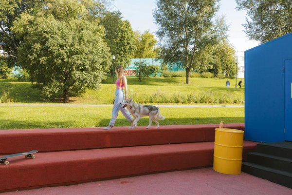 Comment les expériences de réalité virtuelle peuvent-elles sensibiliser à la conservation des espèces menacées ?